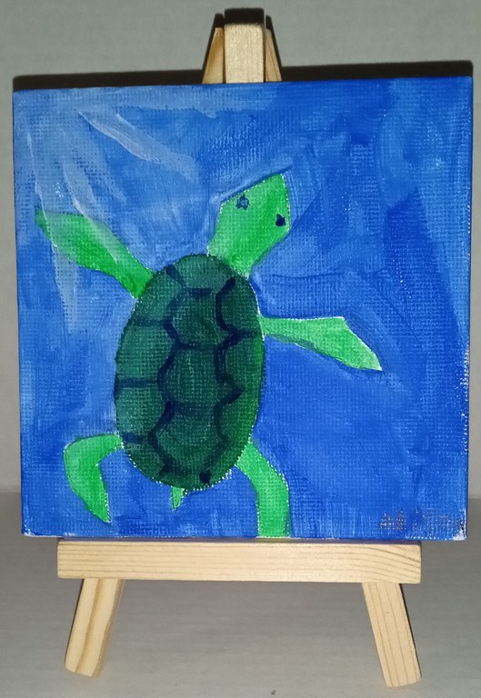 Just a Li'l Turtle.jpg